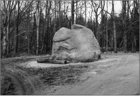 Tirslund Rock httpsuploadwikimediaorgwikipediacommonsaa