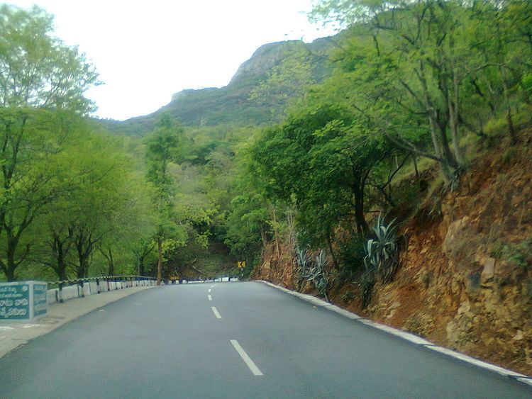 Tirumala ghat roads