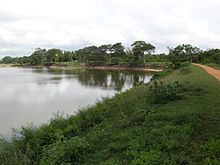 Tissa Wewa (Anuradhapura) httpsuploadwikimediaorgwikipediacommonsthu