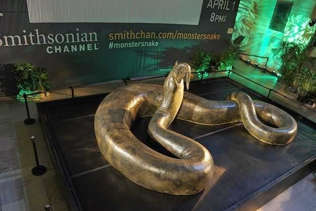 Titanoboa EPIC Creature of the Month Titanoboa