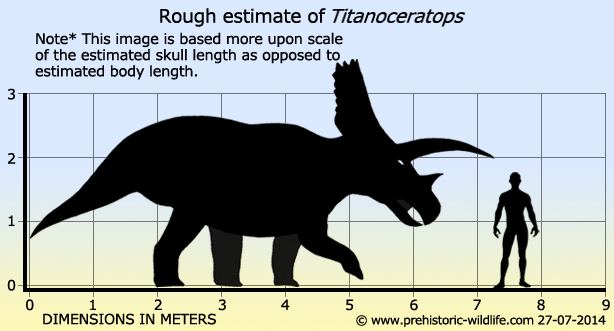 Titanoceratops Titanoceratops