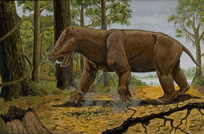 Titanoides Paleocene mammals of the world