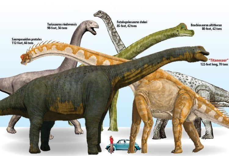 Titanosaur The Largest Footprint Ever Found and the Oldest Sauropod Trackway