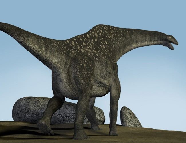 Titanosaurus imagesdinosaurpicturesorgtitanosauruscolberti