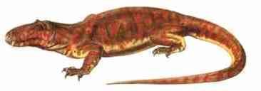 Titanosuchus Titanosuchidae