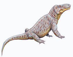 Titanosuchus httpsuploadwikimediaorgwikipediacommonsthu