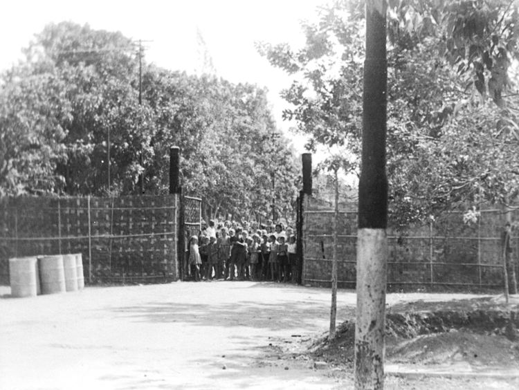 Tjideng Japanese Prison Camp Archives Page 2 of 2 TJIDENG REUNION