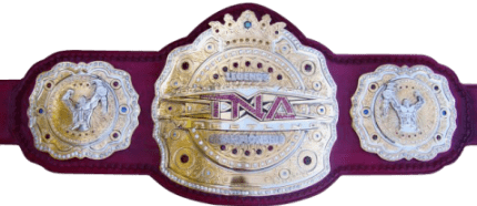 TNA Television Championship wwwaccelerator3359comWrestlingpicturestnalege