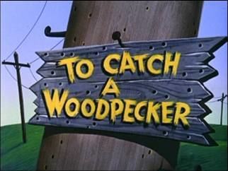 To Catch a Woodpecker movie poster