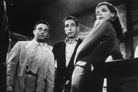 To Have and Have Not (film) To Have and Have Not First Film and Love of Bogart and Bacall