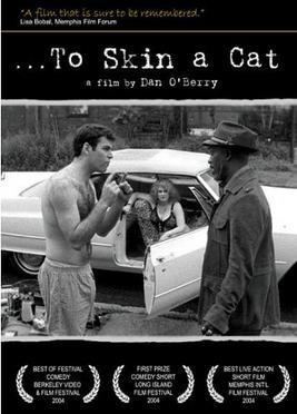 To Skin a Cat movie poster