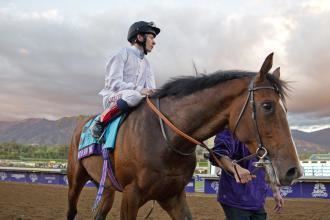 Toast of New York Toast of New York out of Dubai World Cup Daily Racing Form