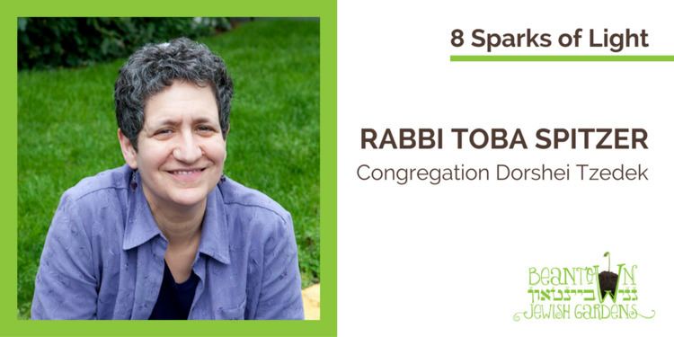 Toba Spitzer 8 Sparks of Light Rabbi Toba Spitzer Ganei Beantown
