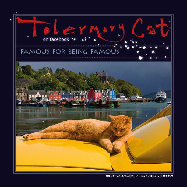 Tobermory Cat 1000 images about Tobermory Cat on Pinterest Hunters Training