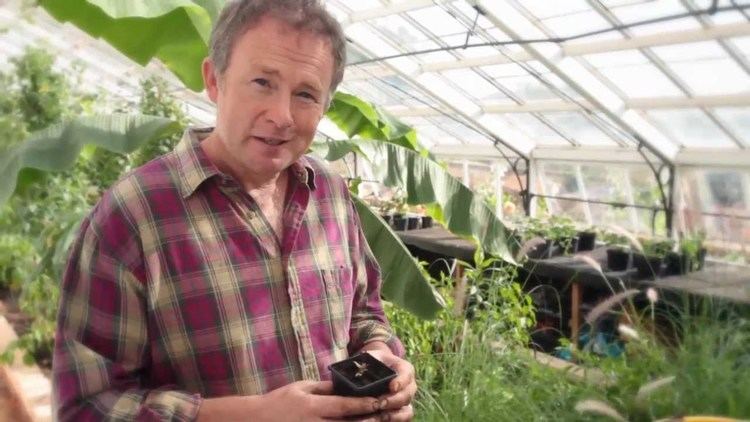 Toby Buckland Planting Powder with Potting Up by Toby Buckland YouTube