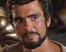 In the movie scene of Jason and the Argonauts 1963 Film, Todd Armstrong is serious, has black hair, beard and mustache, wearing a ragged brown shirt.