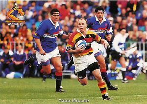 Todd Miller (rugby union) Todd Miller Waikato RUGBY PLAYER POSTCARD eBay