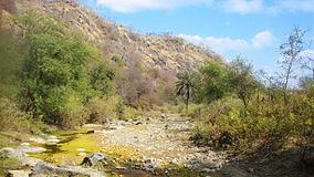 Todgarh-Raoli Sanctuary httpsuploadwikimediaorgwikipediacommonsthu