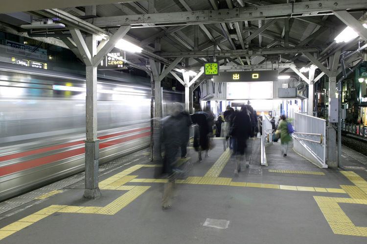 Todoroki Station (Tokyo)