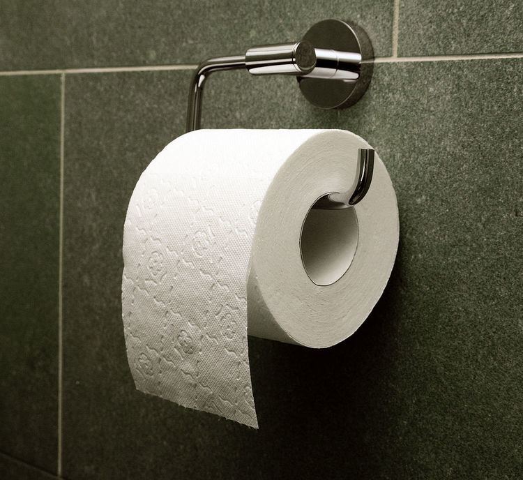 Toilet paper orientation