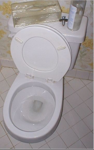 Toilet-related injuries and deaths