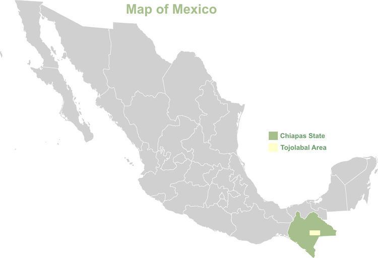 Tojolab'al language detailed map of the area where the Tojolabal Maya live