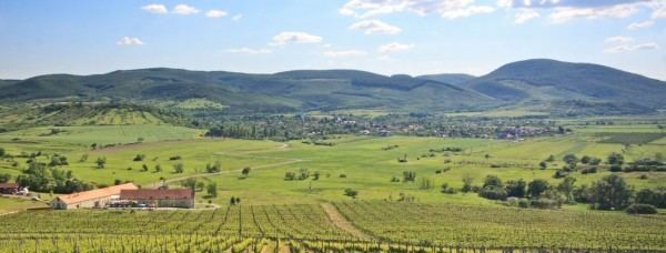 Tokaj wine region Erdbnye Tokaj Wine Region