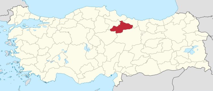 Tokat (electoral district)