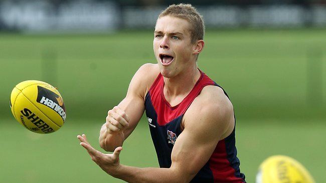 Tom Couch Perseverance pays off for Melbourne rookie Tom Couch