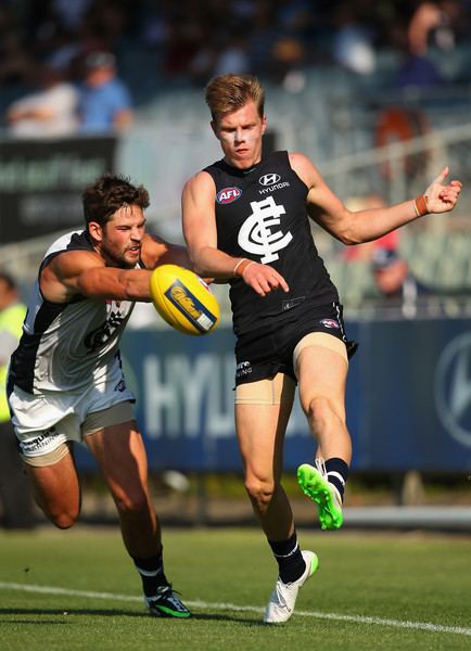 Tom Fields Tom Fields Photos Carlton Blues IntraClub Session Zimbio