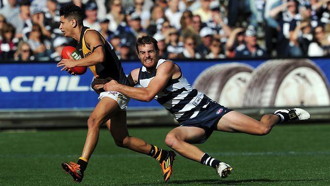 Tom Gillies Melbourne signs delisted Geelong defender Tom Gillies