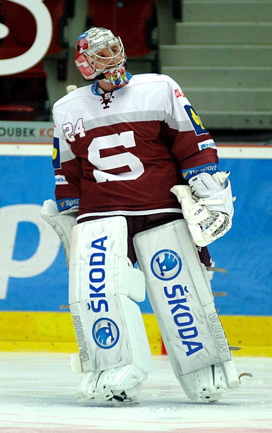 Tomáš Pöpperle HC Sparta Praha Player profile 42 Tom Ppperle