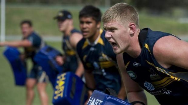 Tom Staniforth Tom Staniforth honing craft with help of Wallabies Rugby News