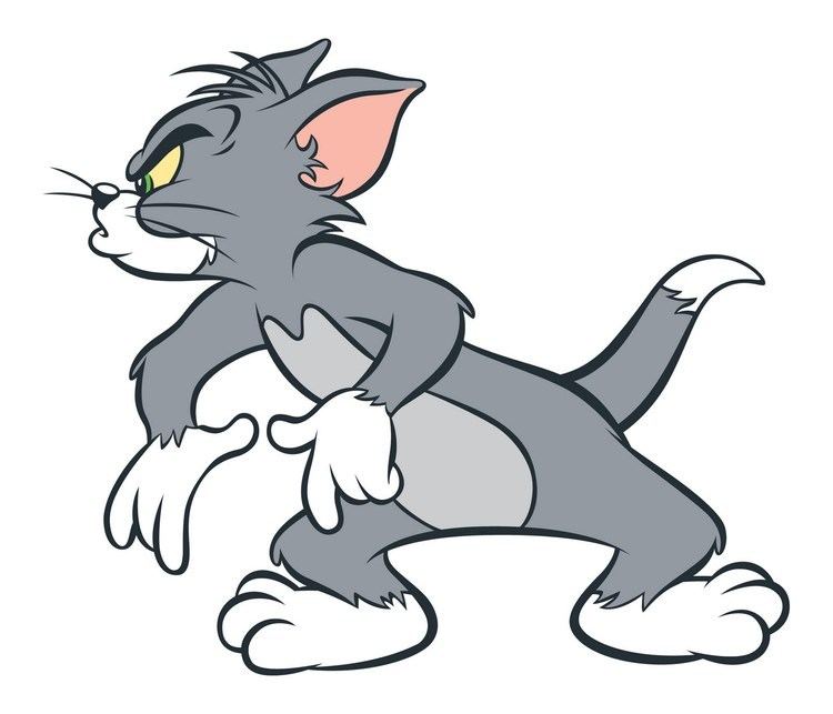 Tom (Tom and Jerry) 78 best ideas about Tom And Jerry Hd on Pinterest Tom and jerry