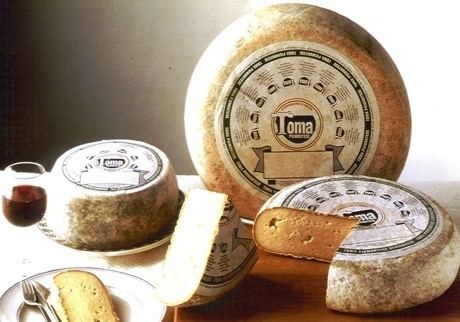 Toma cheese Cheeses of the Langhe Toma piemontese Langhenet