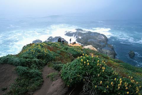 Tomales Point kevingongcomHikingImagesTomalesPointB07Point0