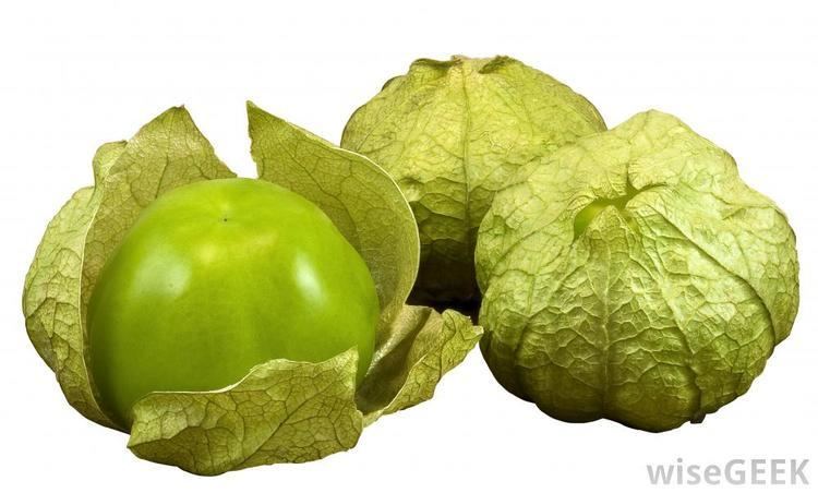 Tomatillo What is a Tomatillo with pictures