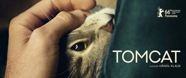 Tomcat (2016 film) Tomcat Films Distribution
