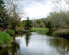 Tomifobia River httpsuploadwikimediaorgwikipediaenthumb0