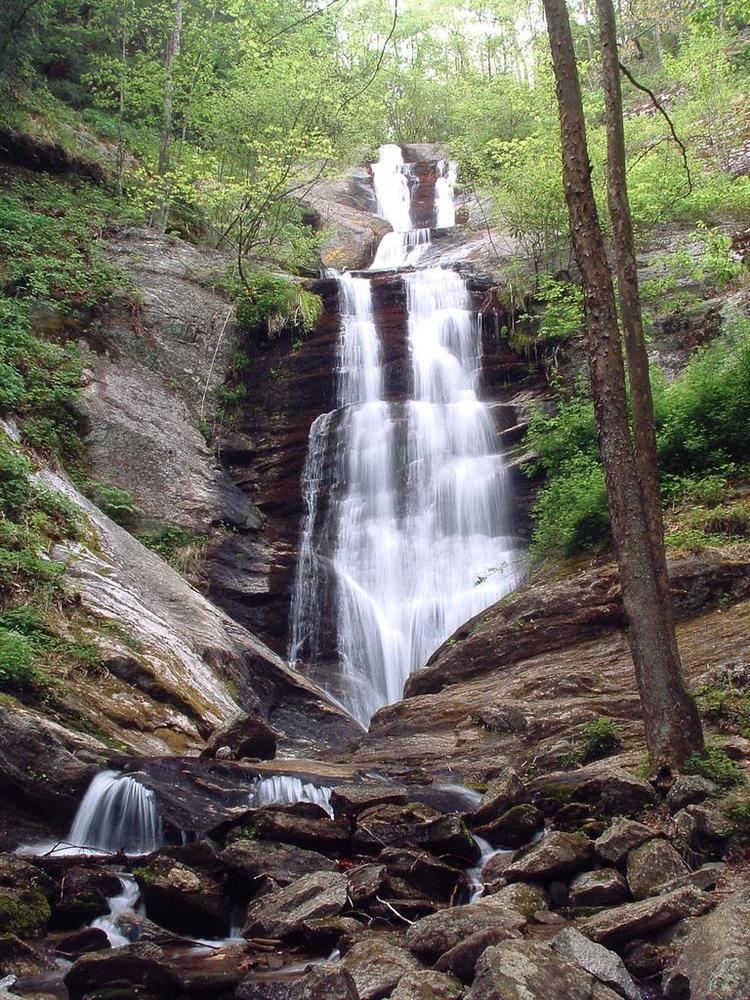 Toms Creek Falls httpsiwncios102420040425pisgahgrandfath