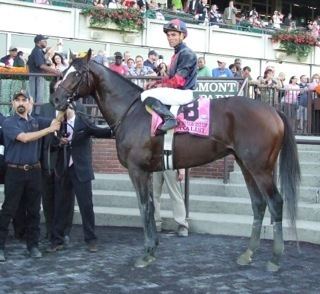 Tonalist Tonalist Wins the Gold Cup A New York State of Racing Horse