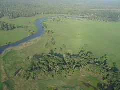 Tonda Wildlife Management Area httpsuploadwikimediaorgwikipediacommonsthu