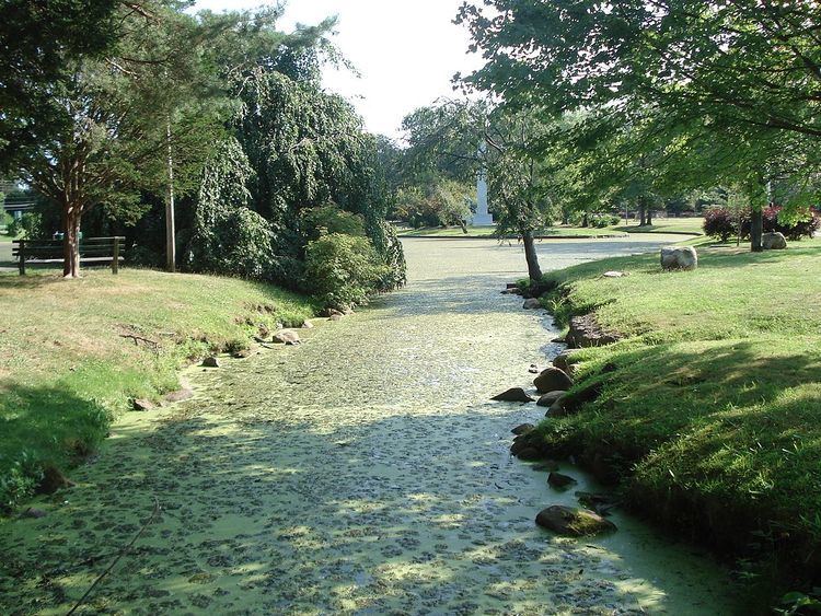 Toney's Brook