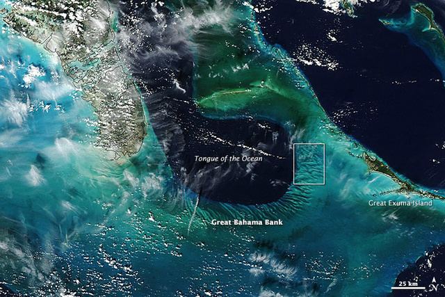 Tongue of the Ocean Underwater sand dunes cover ocean floor in the Bahamas Strange Sounds