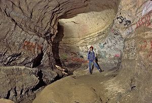 Tongue River Cave httpsuploadwikimediaorgwikipediacommonsthu