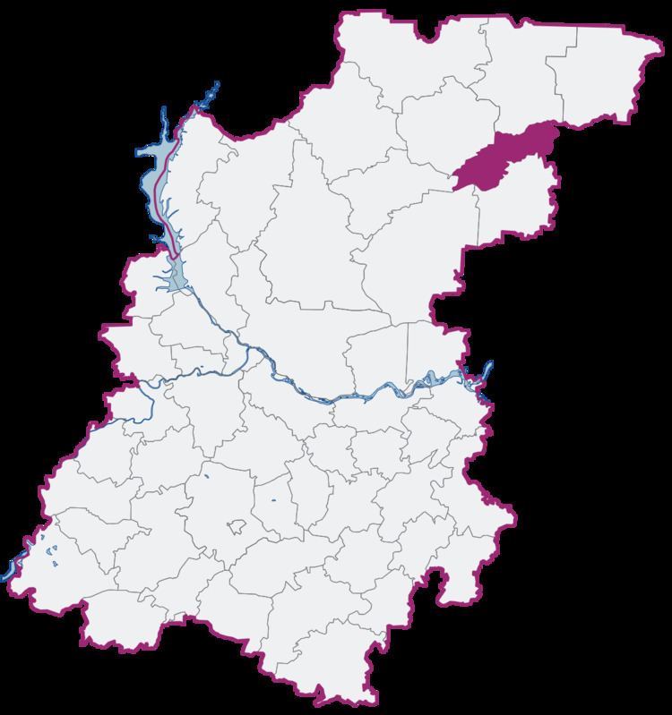 Tonkinsky District