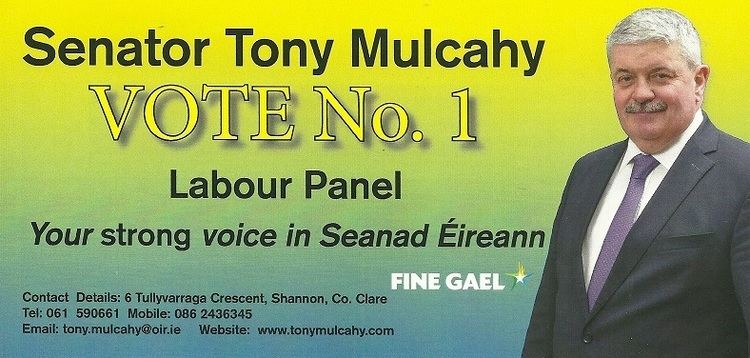 Tony Mulcahy Leaflet from Tony Mulcahy Fine Gael Labour Panel Seanad16