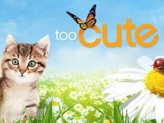 Too Cute (TV series) 78 images about Too Cute on Pinterest Productivity Hot dogs and