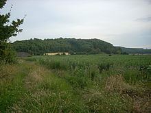 Torberry Hill httpsuploadwikimediaorgwikipediacommonsthu