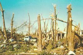 Tornadoes of 1991